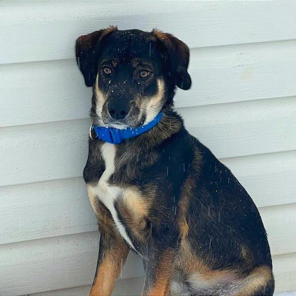 Maverick — thumbnail 3