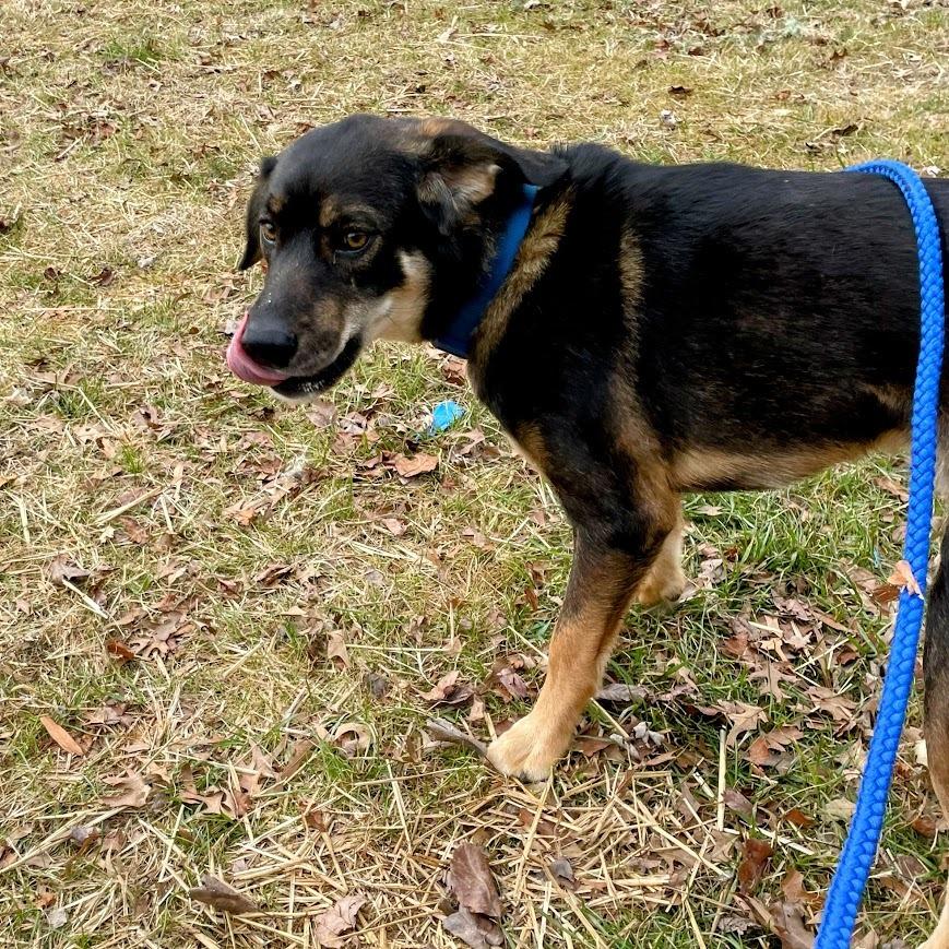 Maverick — thumbnail 4