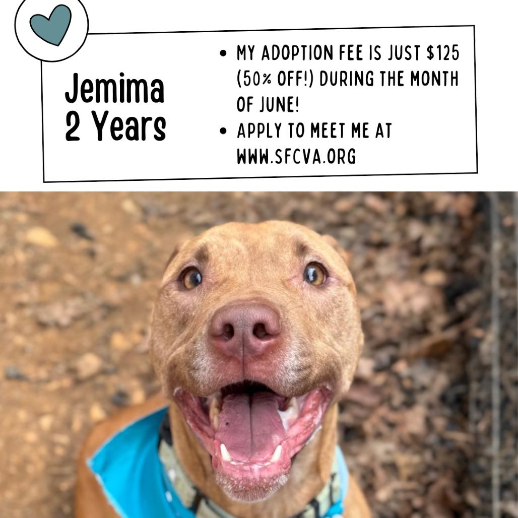 Jemima, a Adoptable mixed breed in Fredericksburg, VA image 6/6