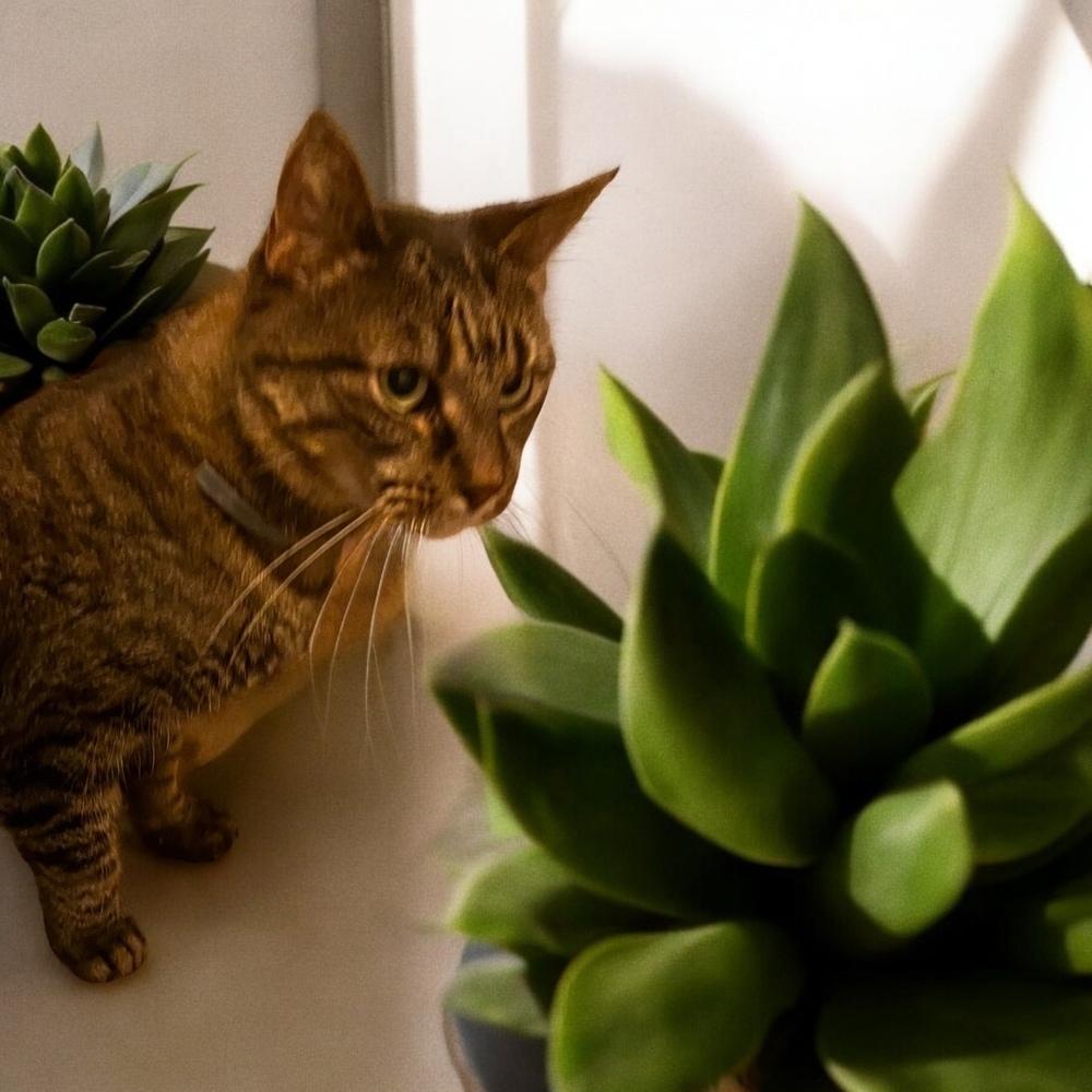 Kimmy — thumbnail 4