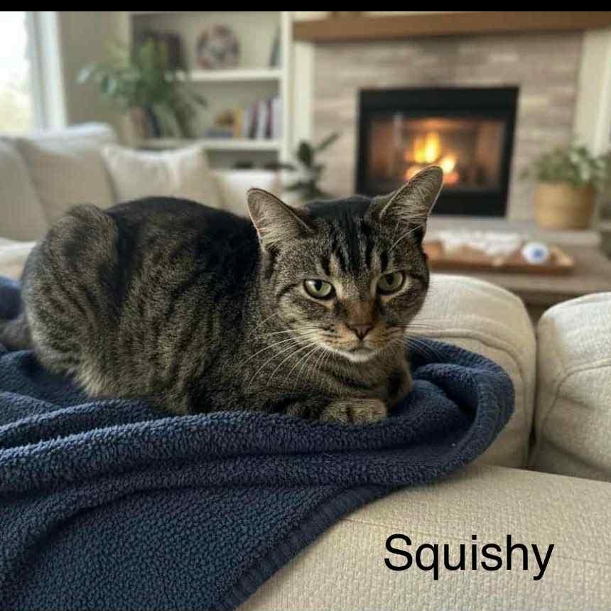 Squishy