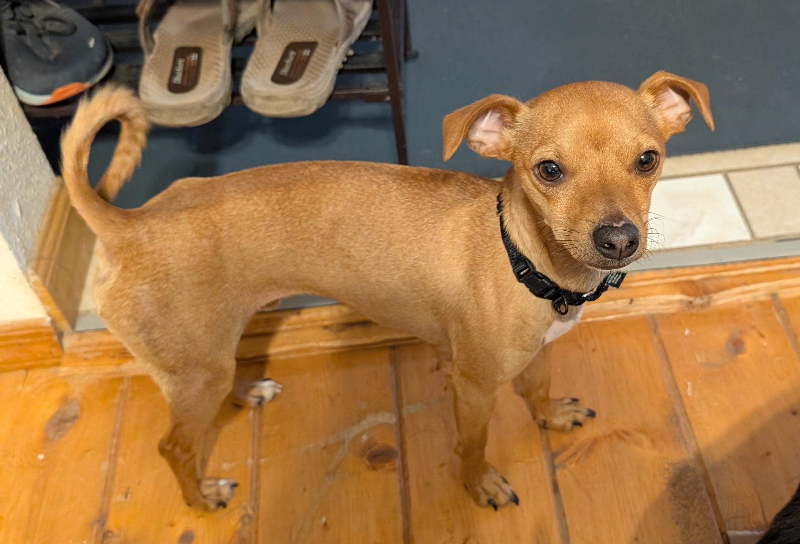 Milo