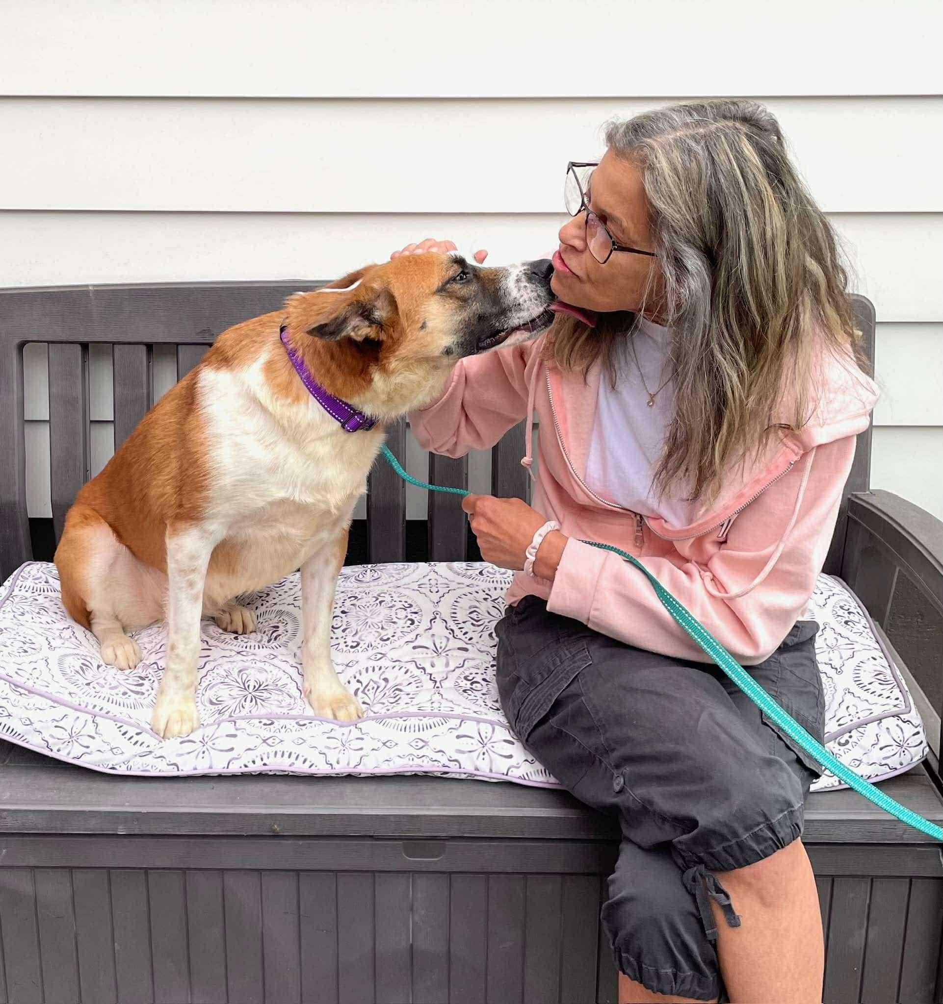 Enlarge Lizzie, a Adopted mixed breed in Portland, OR image 3/6