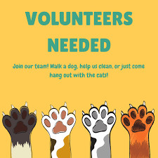 VOLUNTEERS NEEDED!!