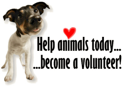 VOLUNTEERS NEEDED!! photo 5