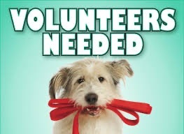 VOLUNTEERS NEEDED!! photo 4