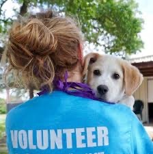 VOLUNTEERS NEEDED!! photo 3