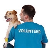 VOLUNTEERS NEEDED!!, a Adoptable mixed breed in Madison Heights, MI image 6/13