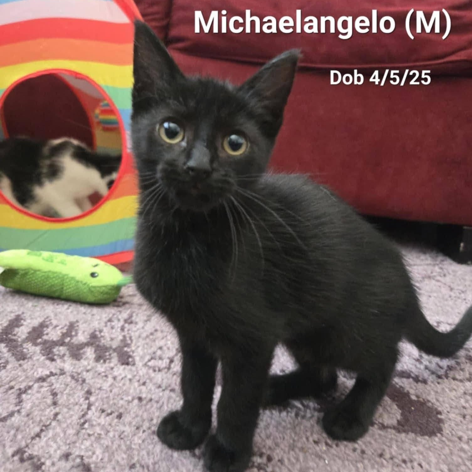 MichaelAngelo