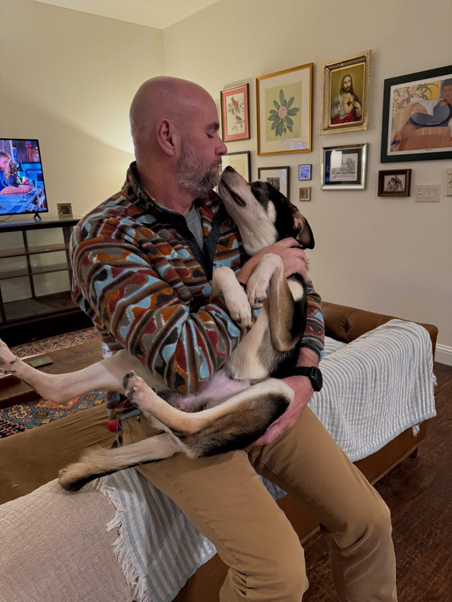 Maureen, an adopted mixed breed in Spring, TX image 4/5