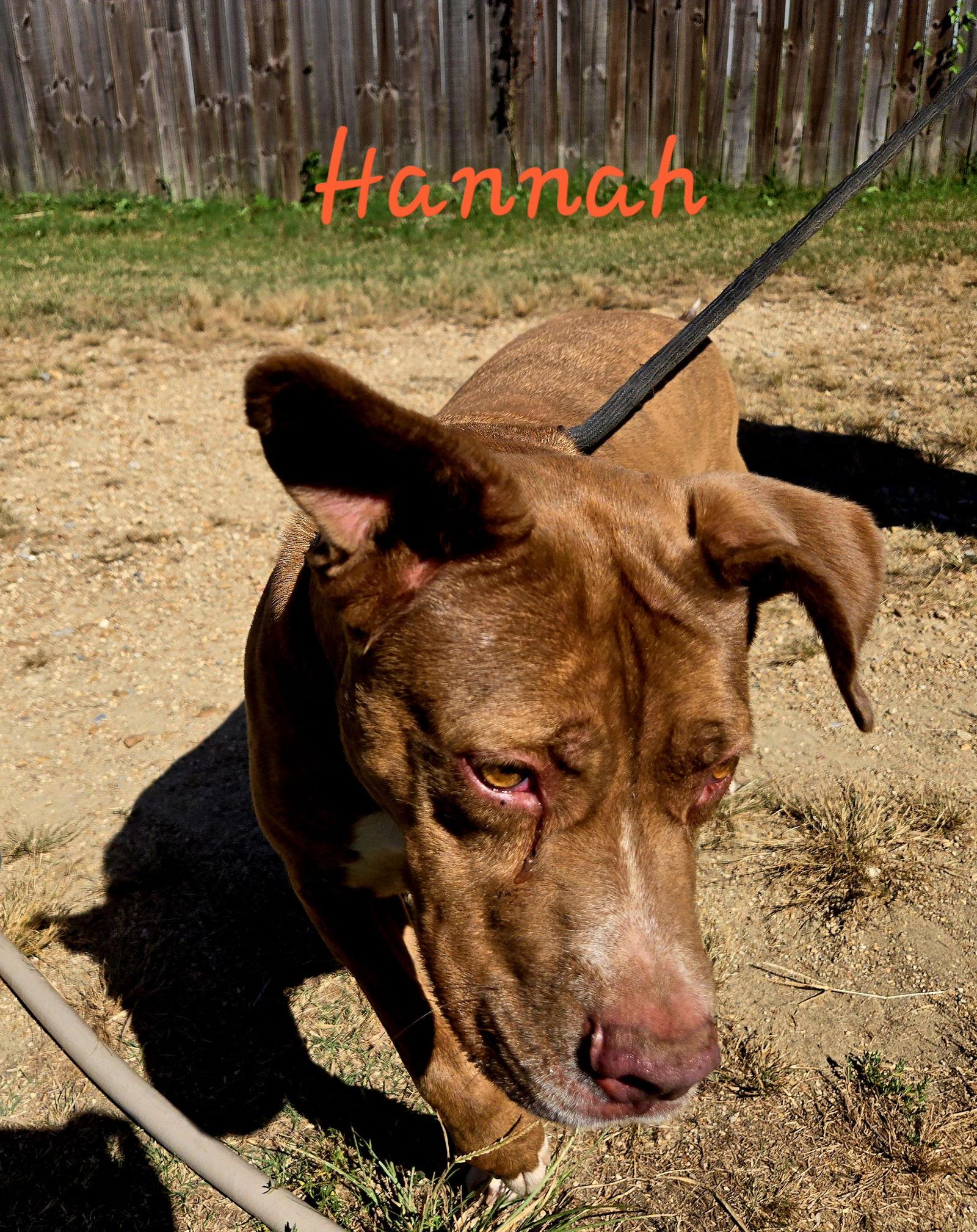 Hannah — thumbnail 2