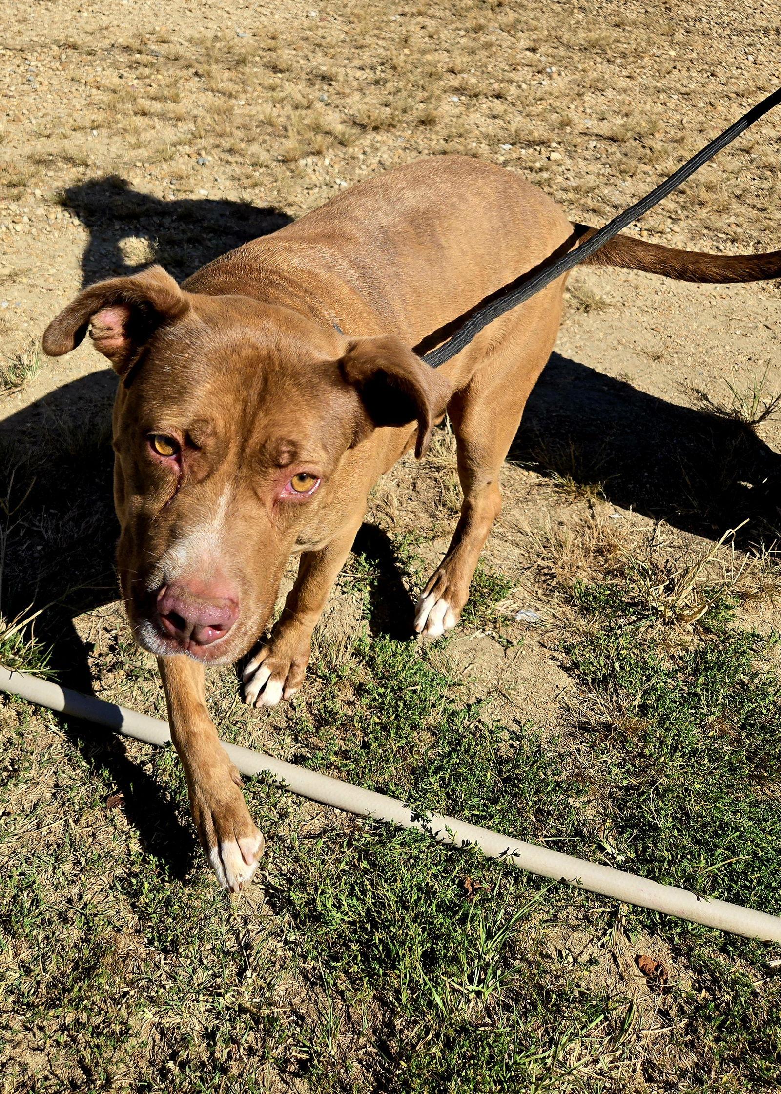 Hannah — thumbnail 3