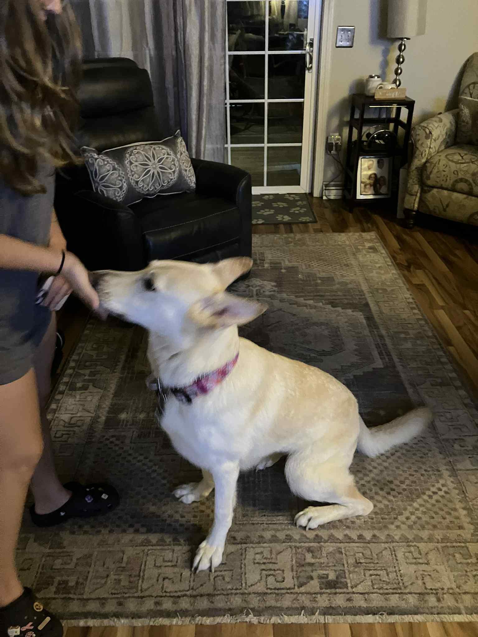 Karma