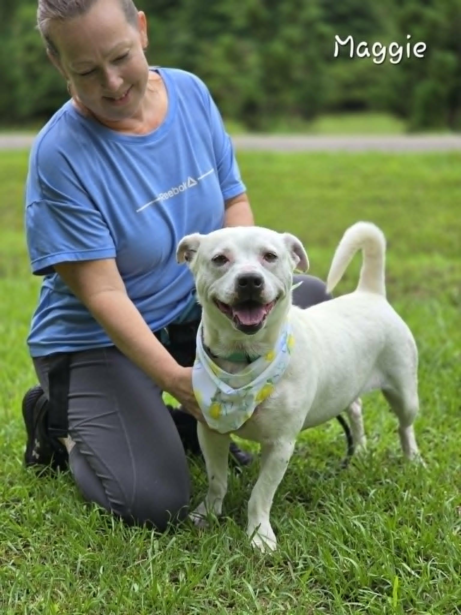 Maggie, a Adoptable Mixed Breed in Bishop, GA image 1/3