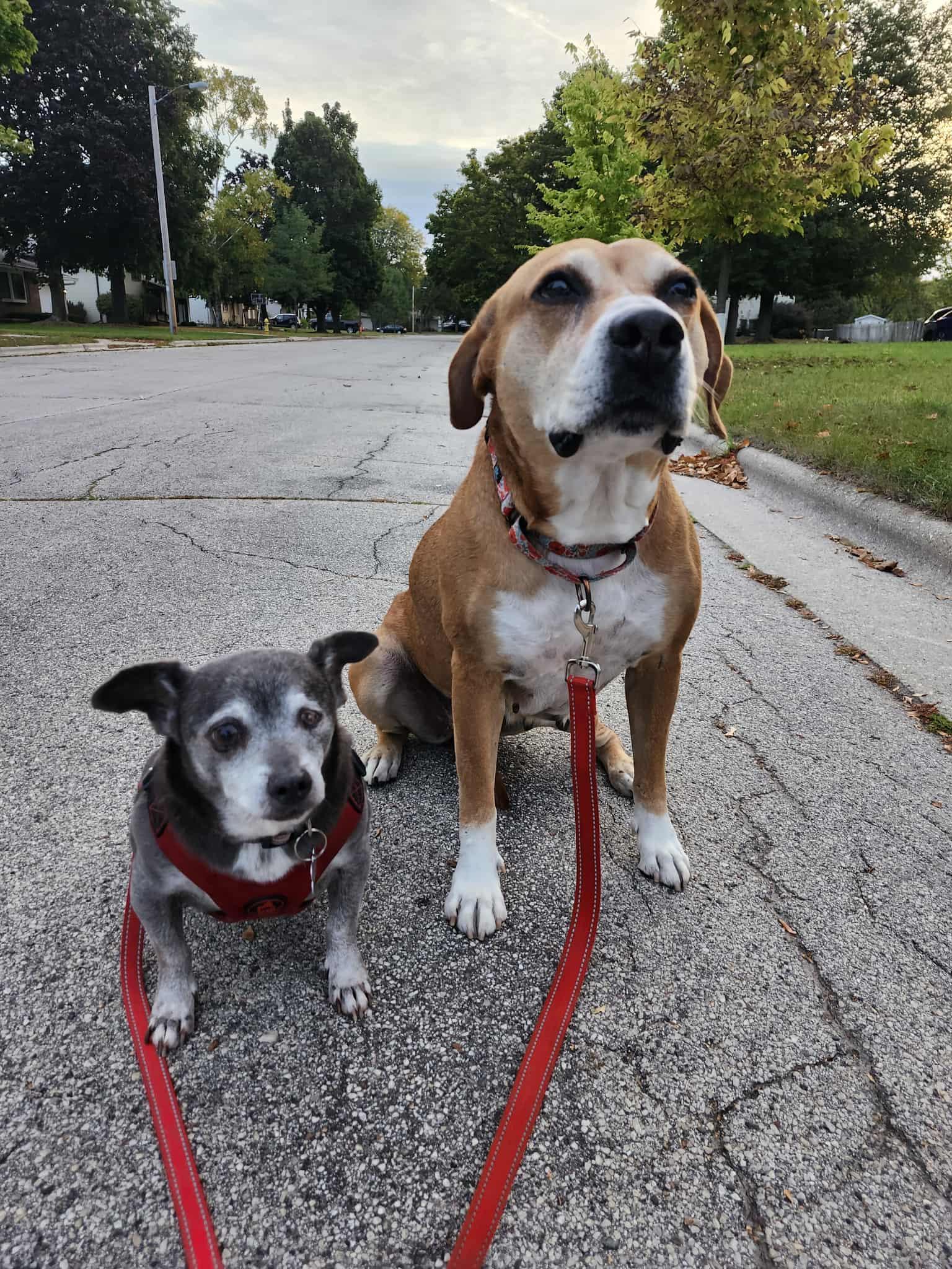 Joseph — thumbnail 4