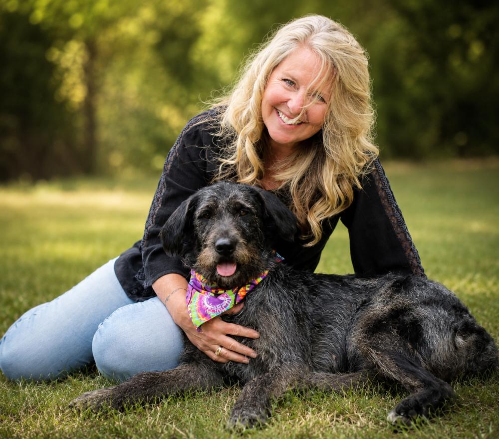 Jessie, ADOPTABLE, Adult Female Labradoodle.