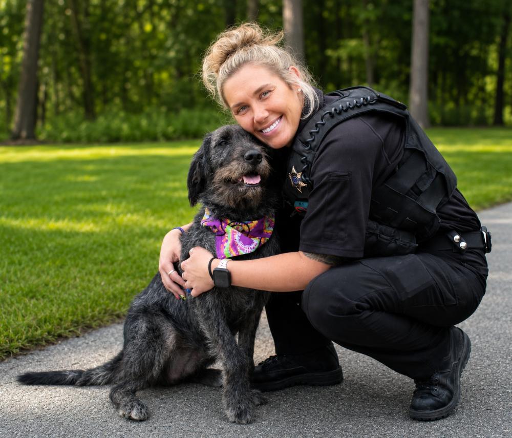 Jessie, a ADOPTABLE Labradoodle in Cheboygan, MI image 4/6