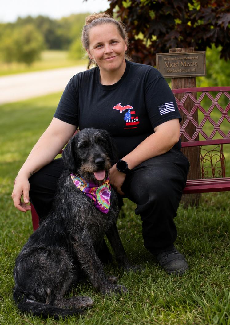 Jessie, a ADOPTABLE Labradoodle in Cheboygan, MI image 6/6