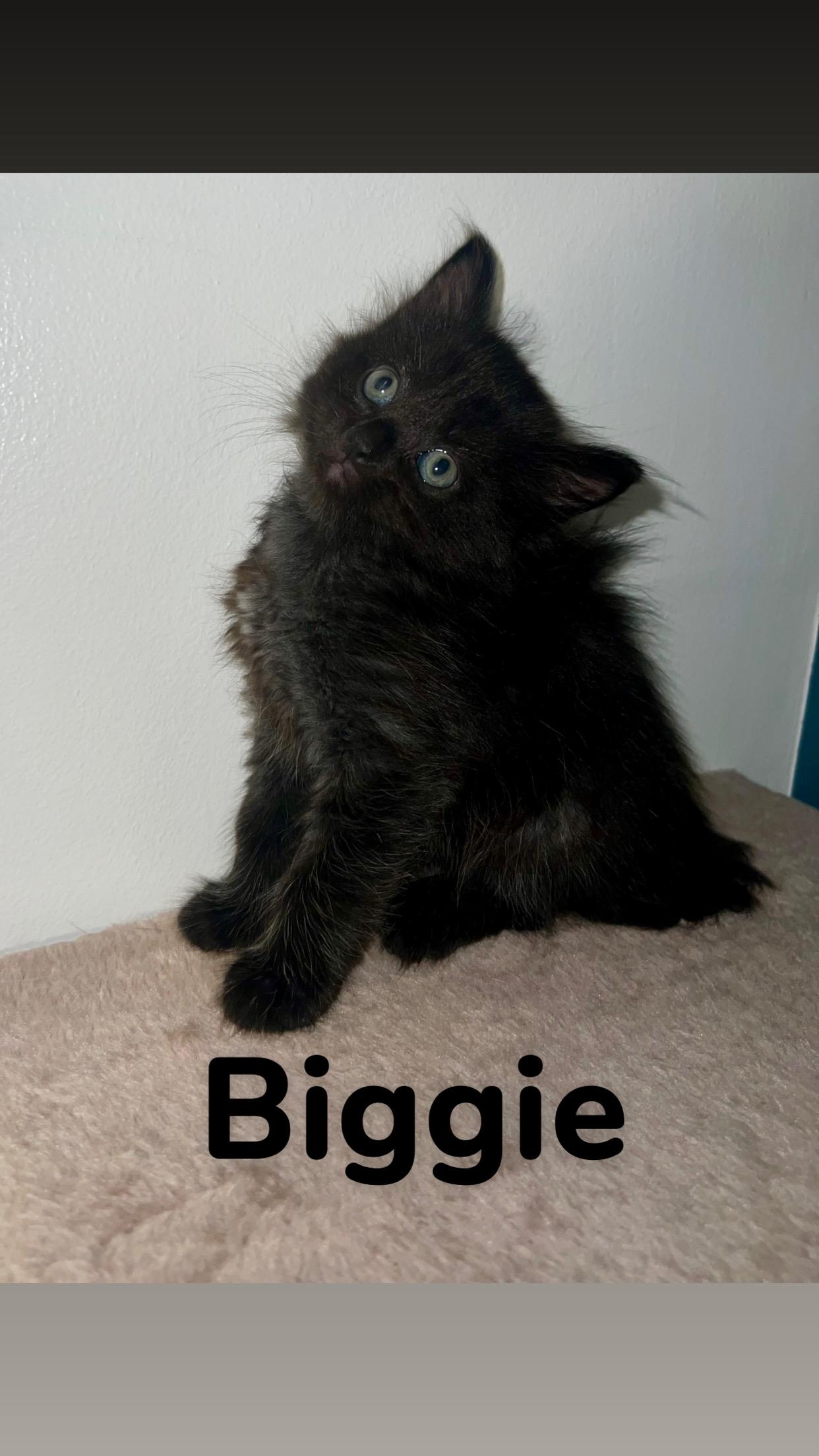 Biggie