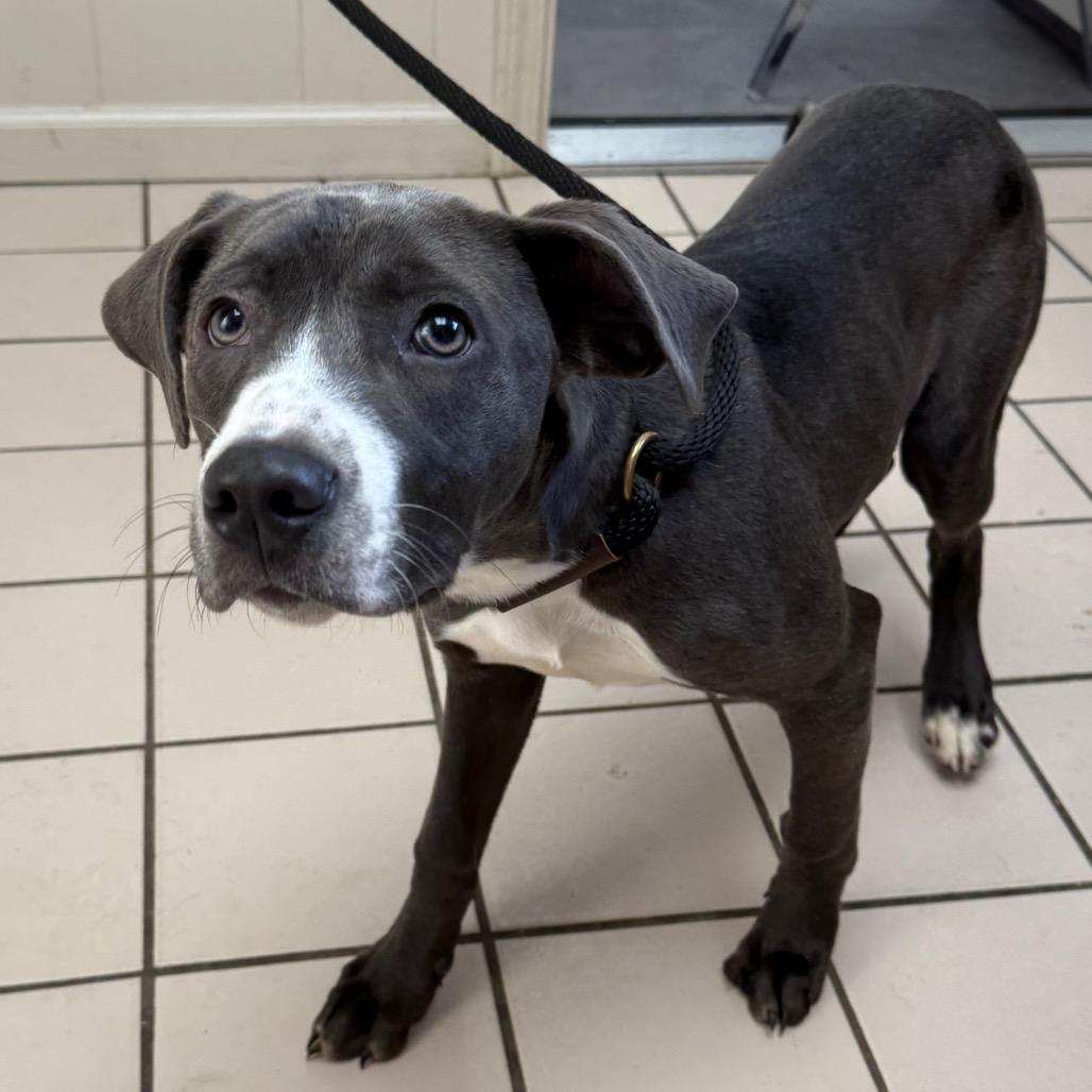 Raya — thumbnail 2