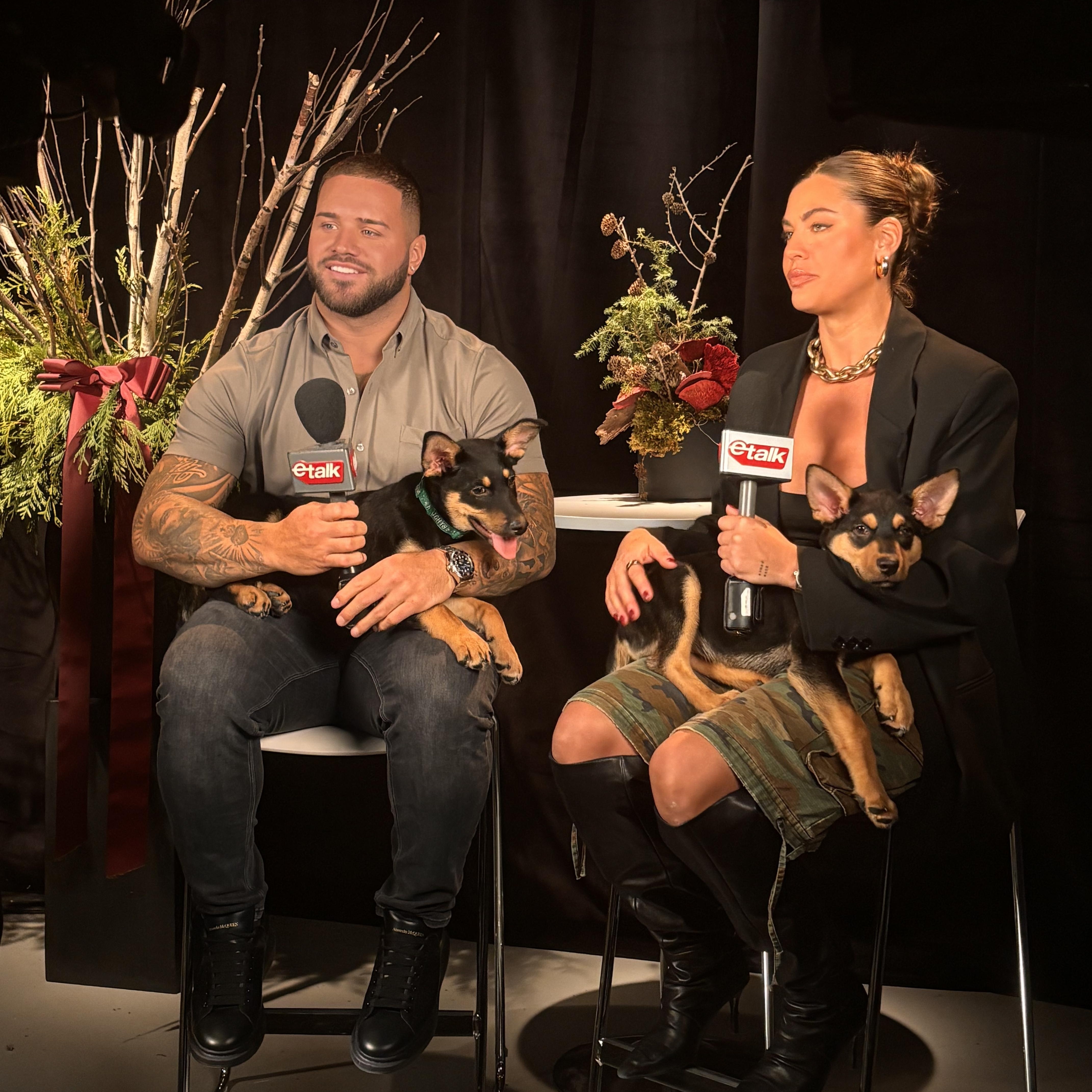 Enlarge Jack, a Adoptable mixed breed in Mississauga , ON image 6/6