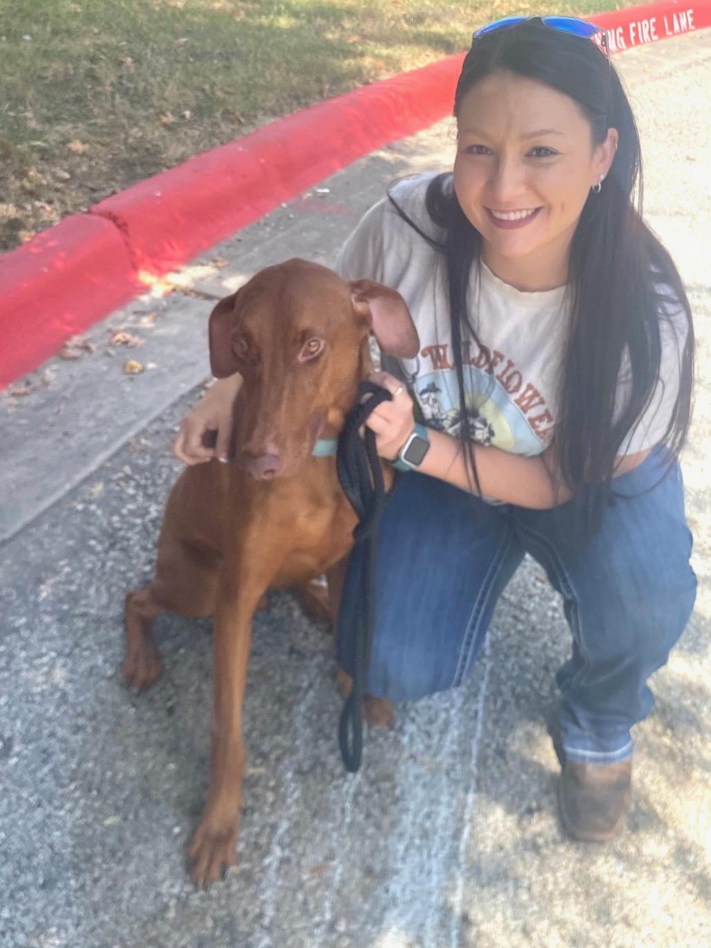 Enlarge Gentleman Donatello, an adopted mixed breed in Pearland, TX image 2/5