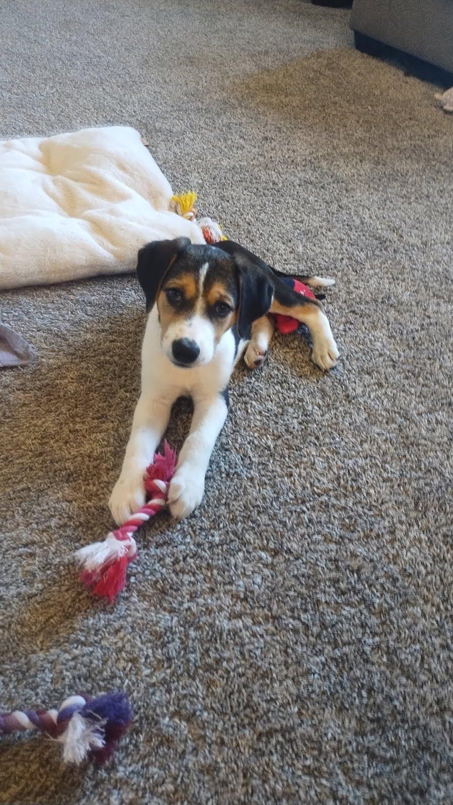 Zeke