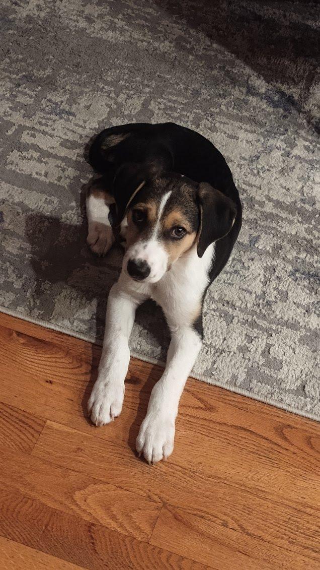 Zeke