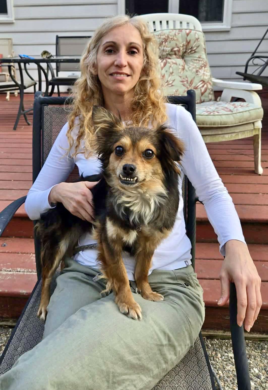 Enlarge Clementine, a ADOPTABLE mixed breed in Yorktown, VA image 1/5