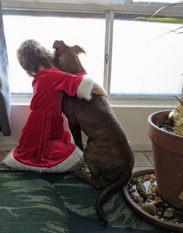 Enlarge Apple Fritter, a Adoptable mixed breed in Austin, TX image 4/6