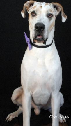 Emmit photo 2