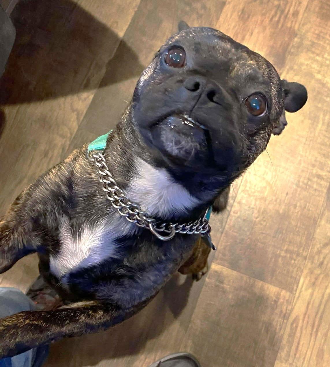 Vera's Bandy Tx thumbnail 2