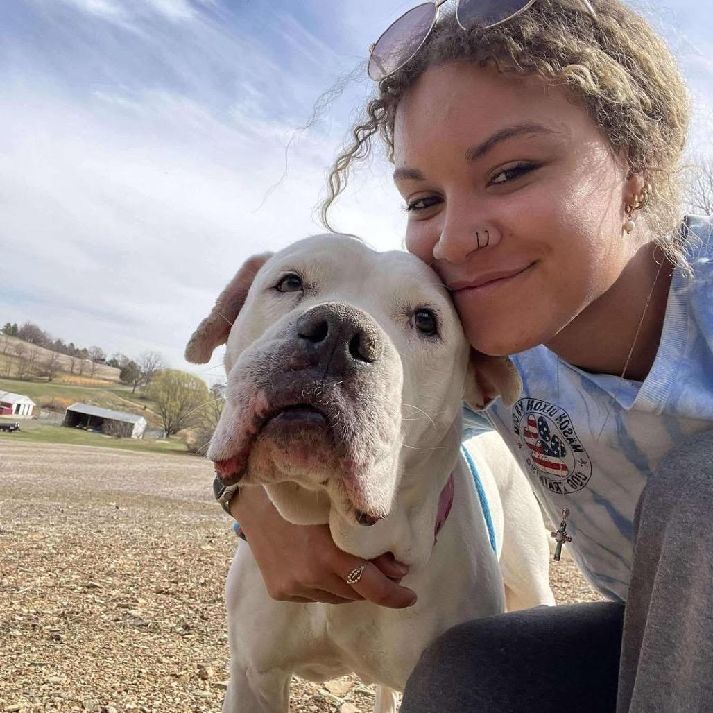 Enlarge Marley, a Adoptable American Bulldog in Parkton, MD image 6/6