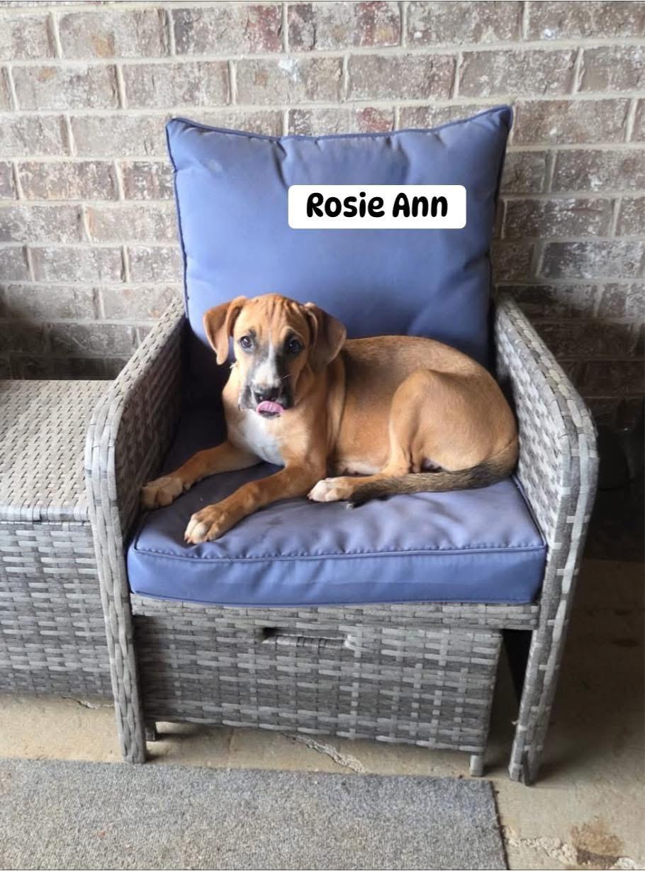 Rosie