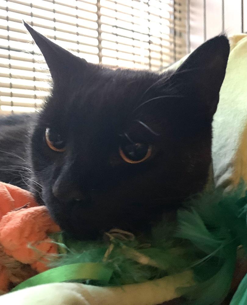 Jack — thumbnail 5