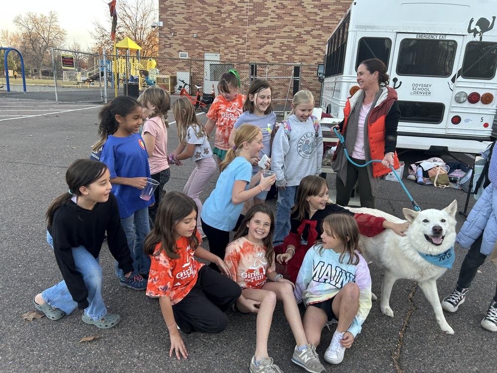 Enlarge Arlo from Wortham, a Adoptable mixed breed in Denver, CO image 2/6