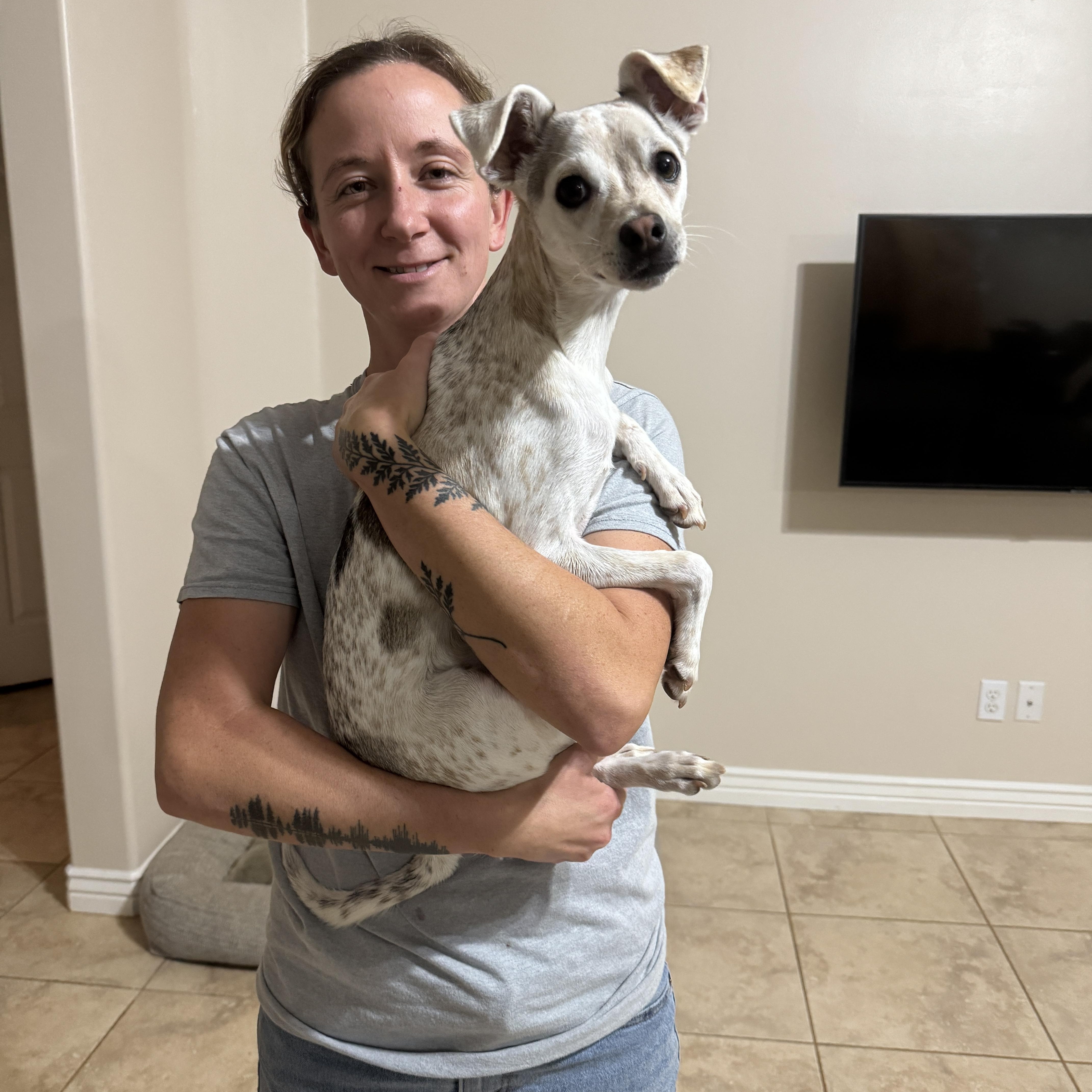 Enlarge Kramer, a ADOPTABLE mixed breed in Goodyear, AZ image 2/3