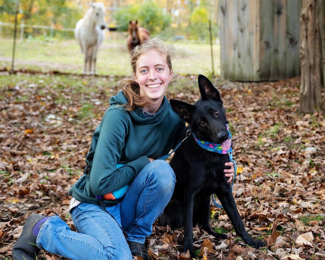 Enlarge Mila, a Adoptable mixed breed in Milford, CT image 3/3