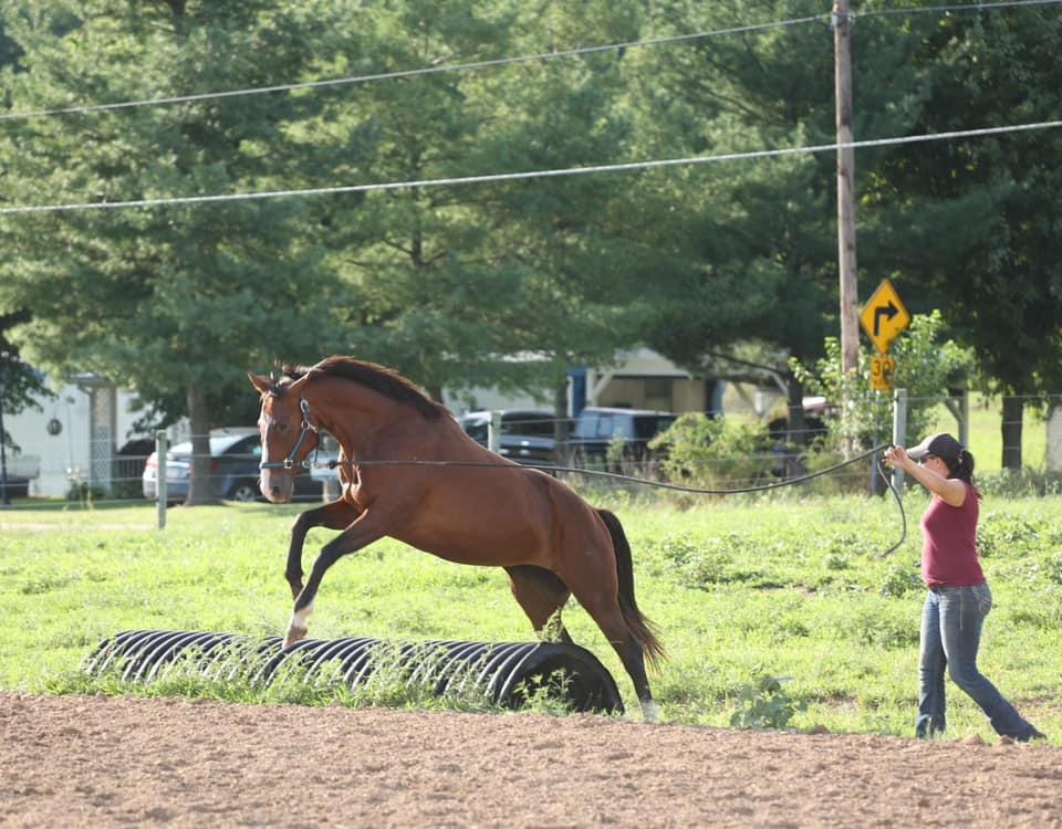 Oakley - ATFO 2025 Platinum Division photo 4