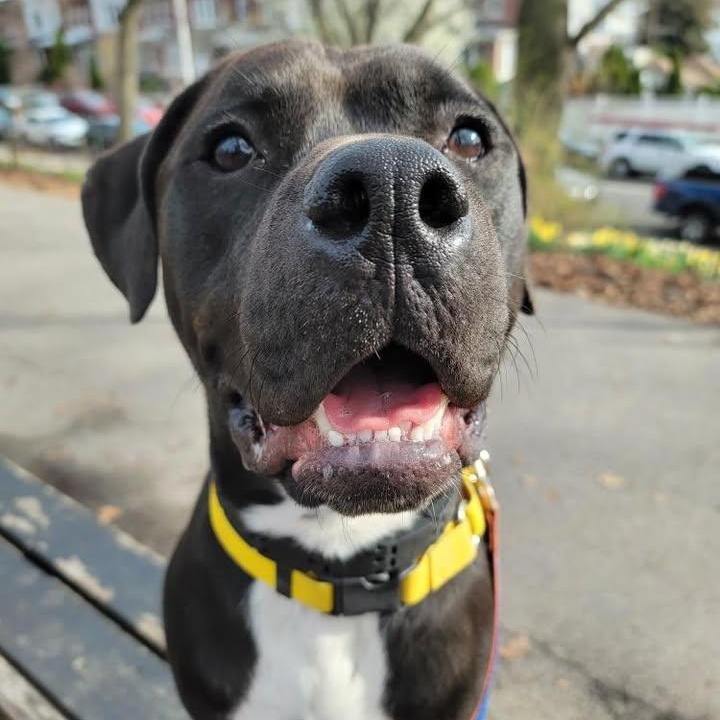 Benny