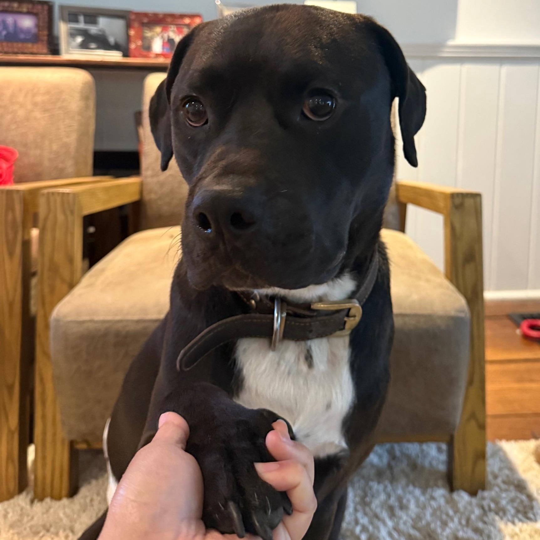 Benny