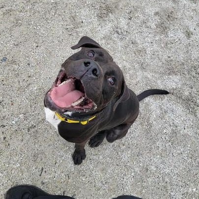 Benny