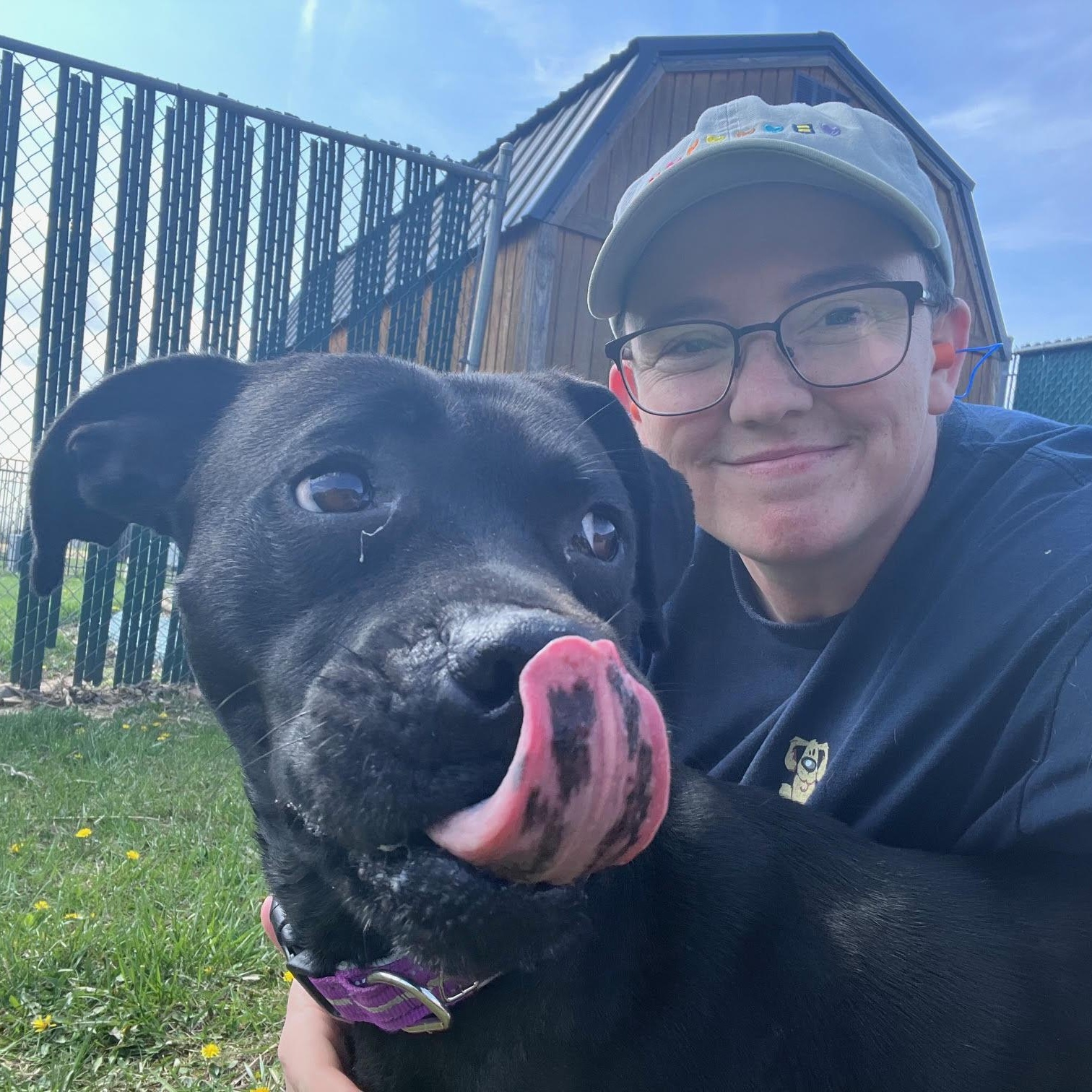 Enlarge Pepperoni, an adopted mixed breed in West Jefferson, OH image 3/5