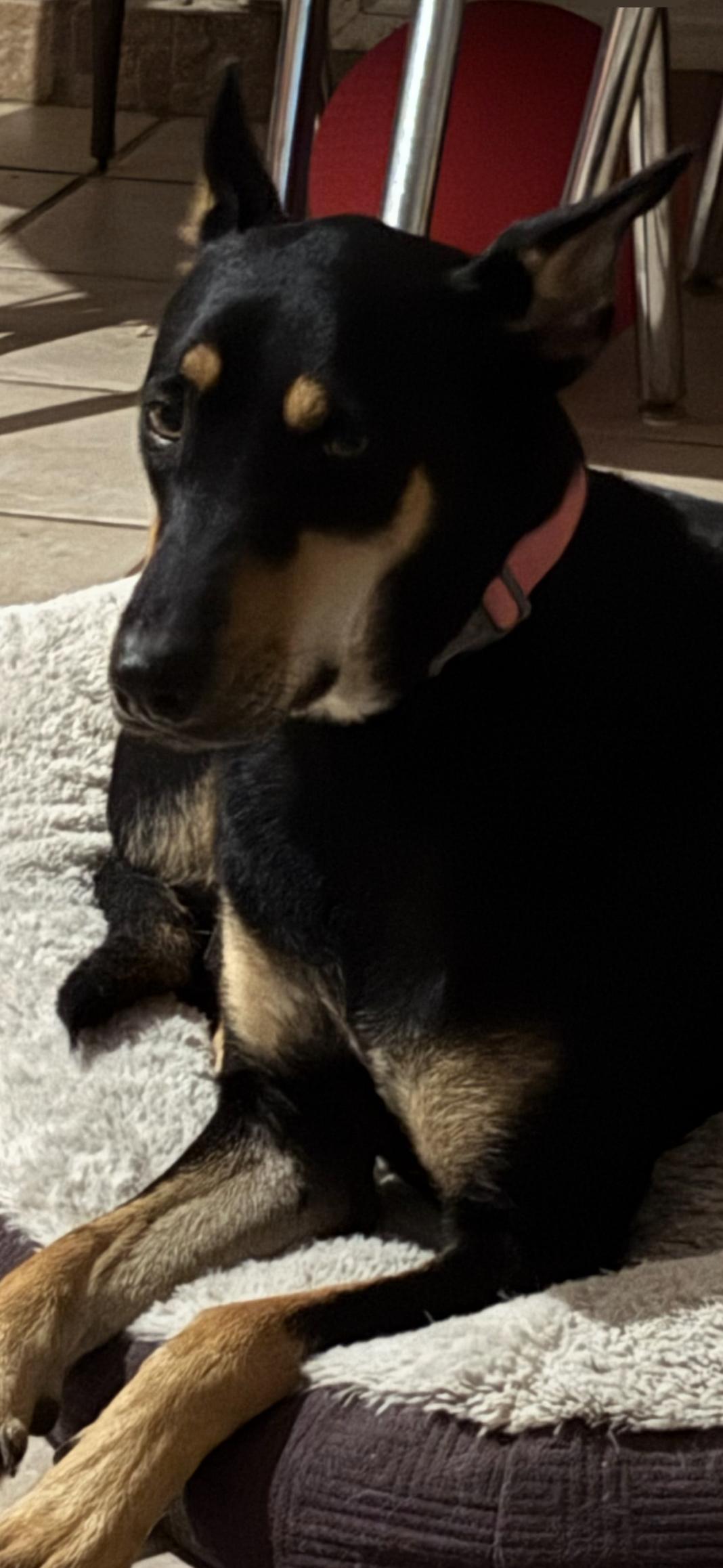 Mimi — thumbnail 5