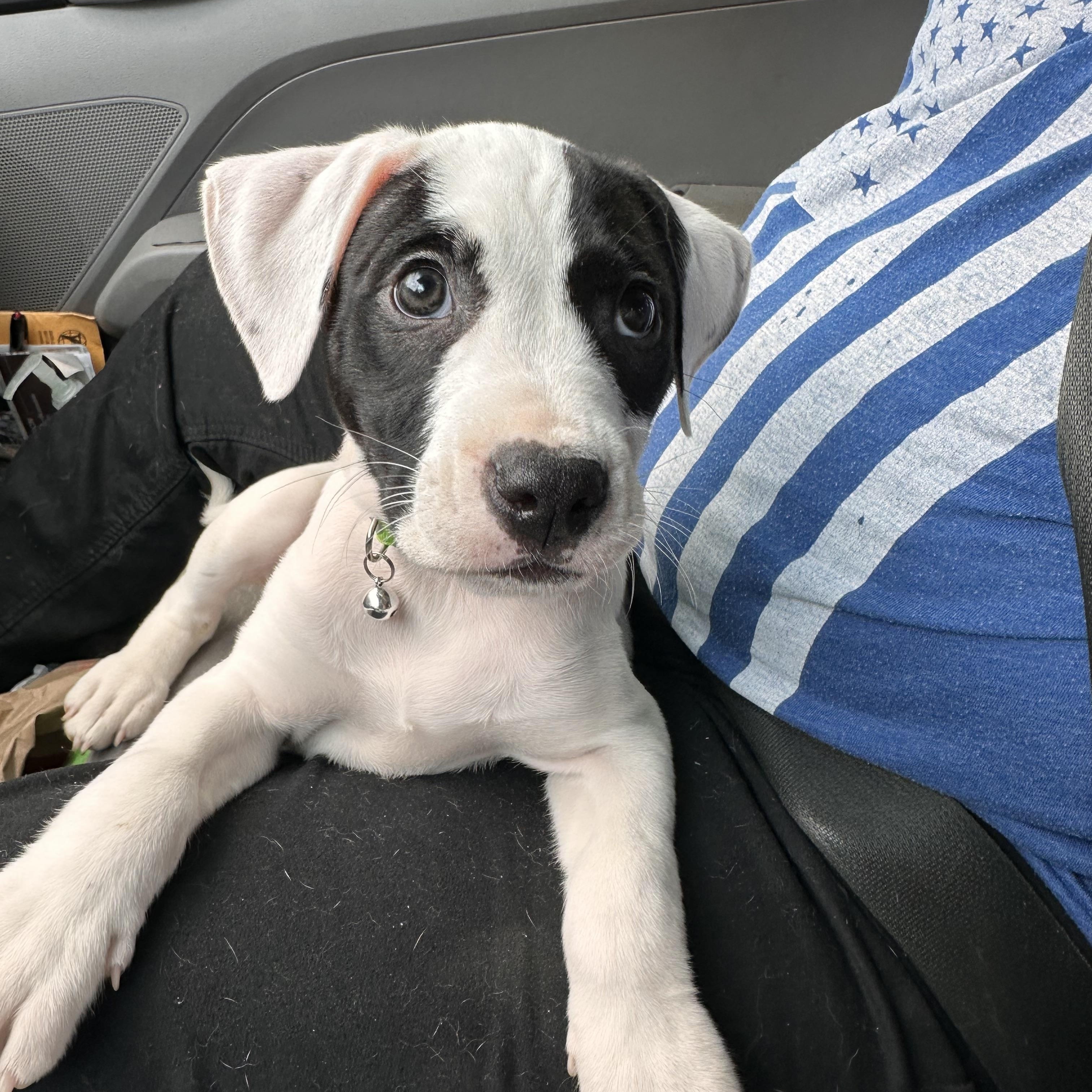 Yuki