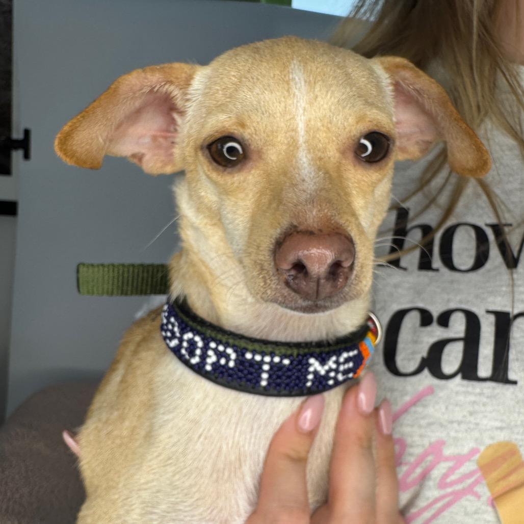 Tiny Tim thumbnail 3