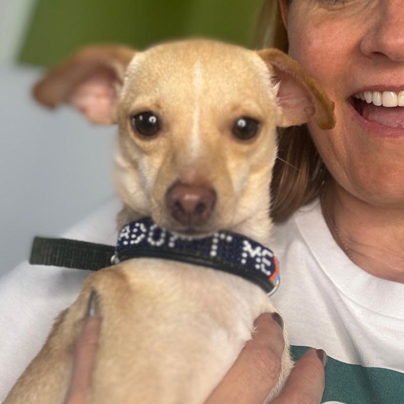 Tiny Tim thumbnail 4