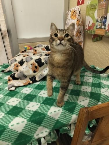 Denny — thumbnail 4