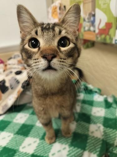 Denny — thumbnail 5