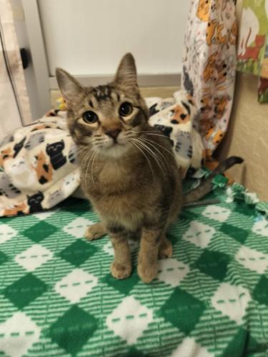 Denny — thumbnail 6